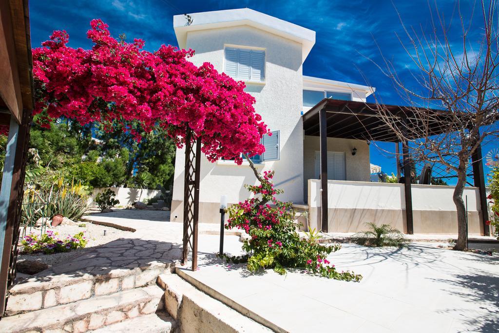 Merab Center Villas Αγία Νάπα Εξωτερικό φωτογραφία